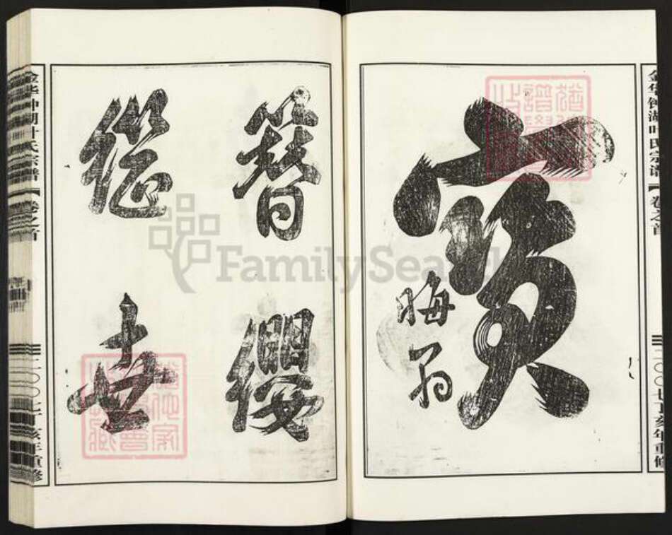 浙江省金华市义乌市佛堂镇叶氏族谱-金华钟湖叶氏宗谱.pdf电子版预览图3