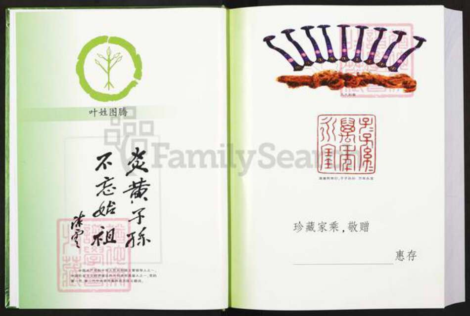 江西省赣州市赣县区叶氏德文堂族谱-世界叶氏总谱.赣县联修分谱.pdf电子版预览图2