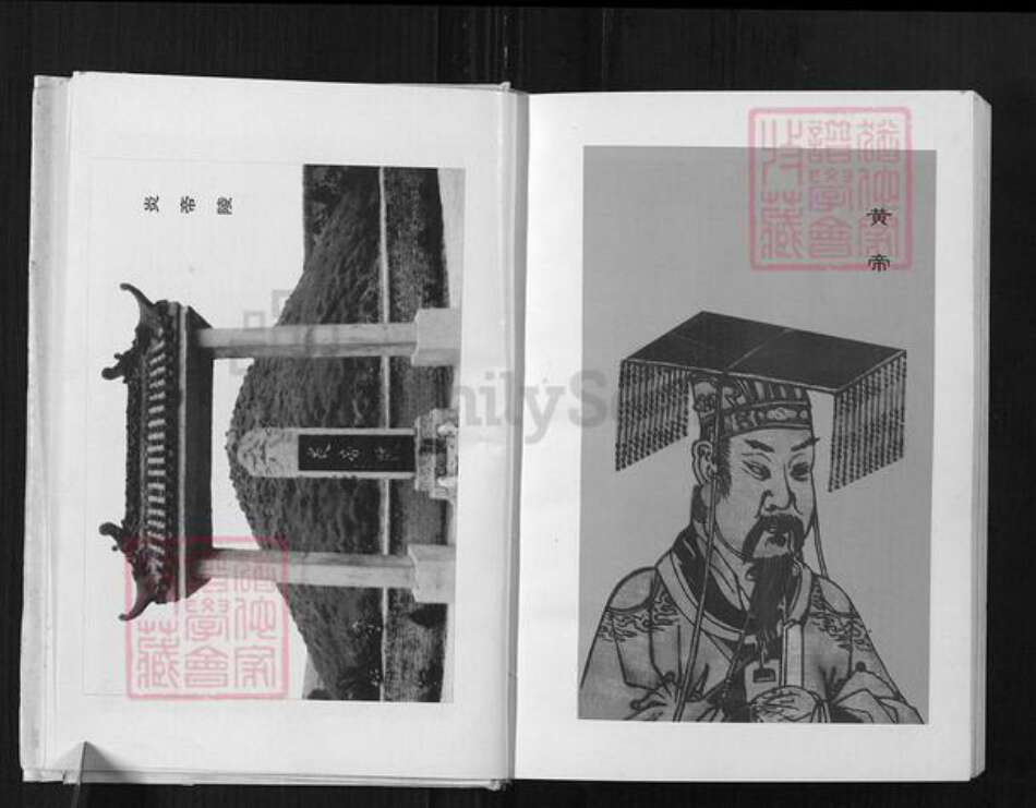 重庆市忠县永丰镇叶氏族谱-叶氏宗族谱.pdf电子版预览图5