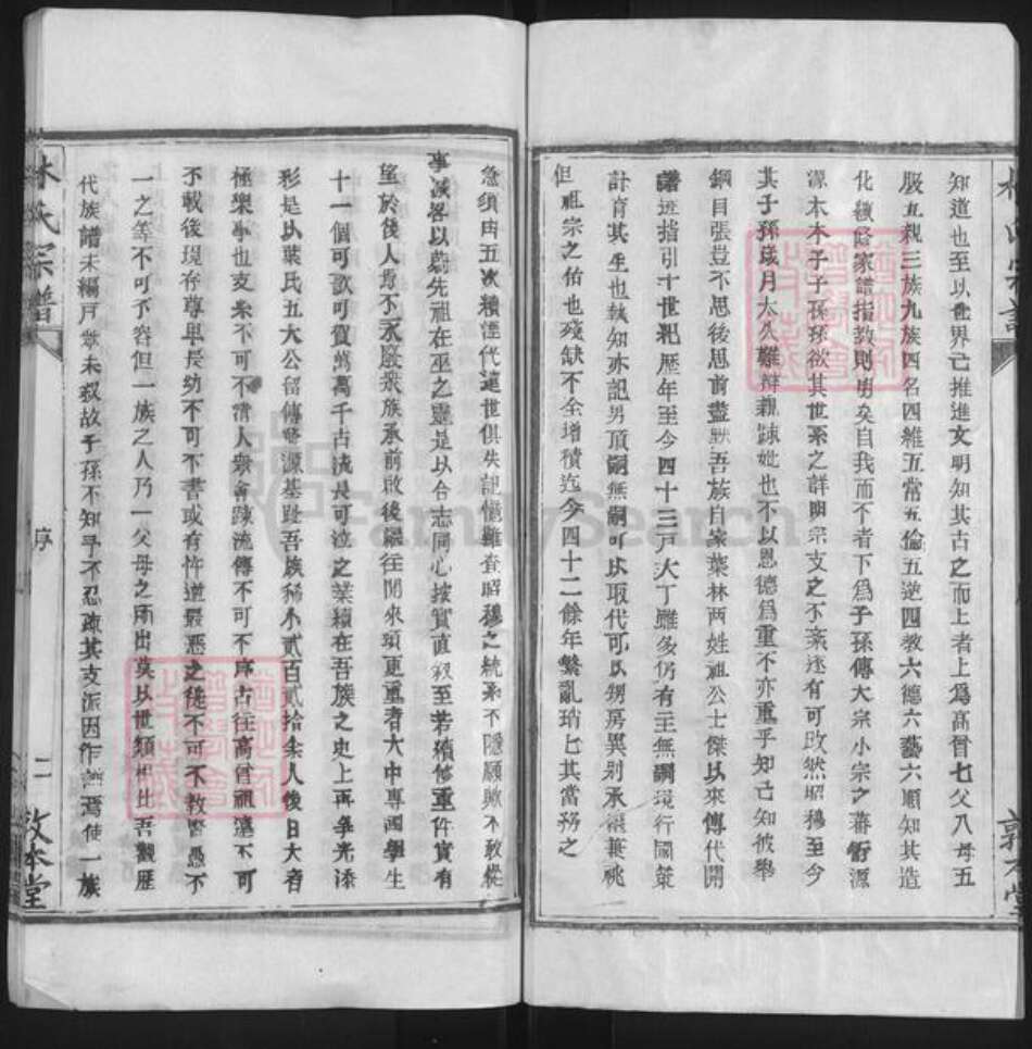 湖北省武汉市新洲区叶氏敦本堂族谱-叶氏宗谱.pdf电子版预览图2