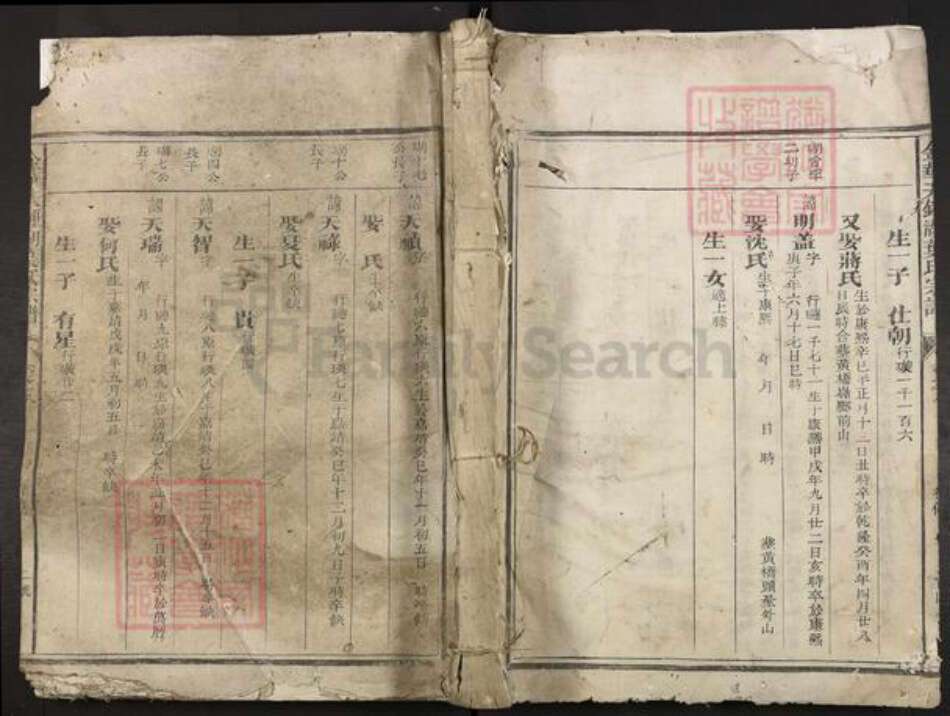 浙江省金华市叶氏族谱-金华天钟湖叶氏宗谱.pdf电子版缩略图