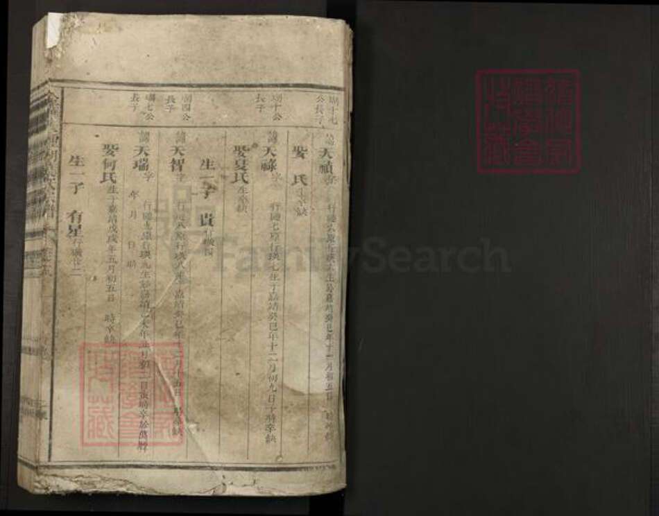 浙江省金华市叶氏族谱-金华天钟湖叶氏宗谱.pdf电子版预览图1