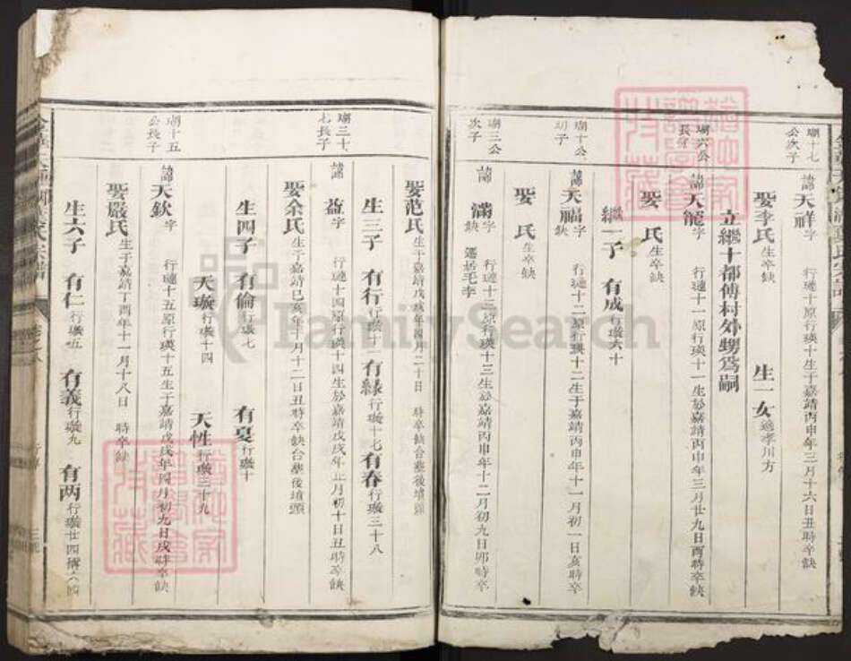 浙江省金华市叶氏族谱-金华天钟湖叶氏宗谱.pdf电子版预览图2