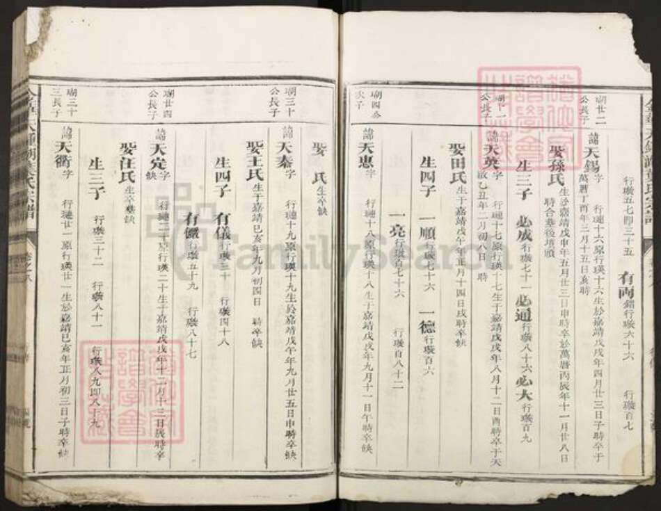 浙江省金华市叶氏族谱-金华天钟湖叶氏宗谱.pdf电子版预览图3