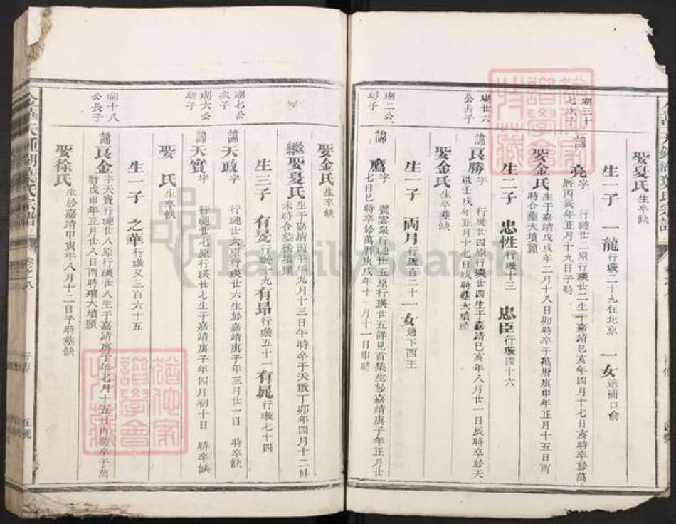 浙江省金华市叶氏族谱-金华天钟湖叶氏宗谱.pdf电子版预览图4