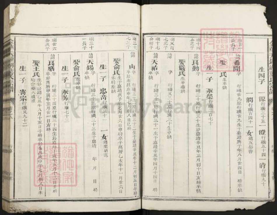 浙江省金华市叶氏族谱-金华天钟湖叶氏宗谱.pdf电子版预览图5