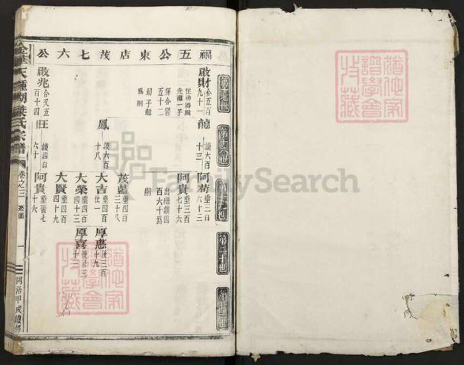 浙江省金华市叶氏族谱-钟湖叶氏宗谱.pdf电子版预览图1