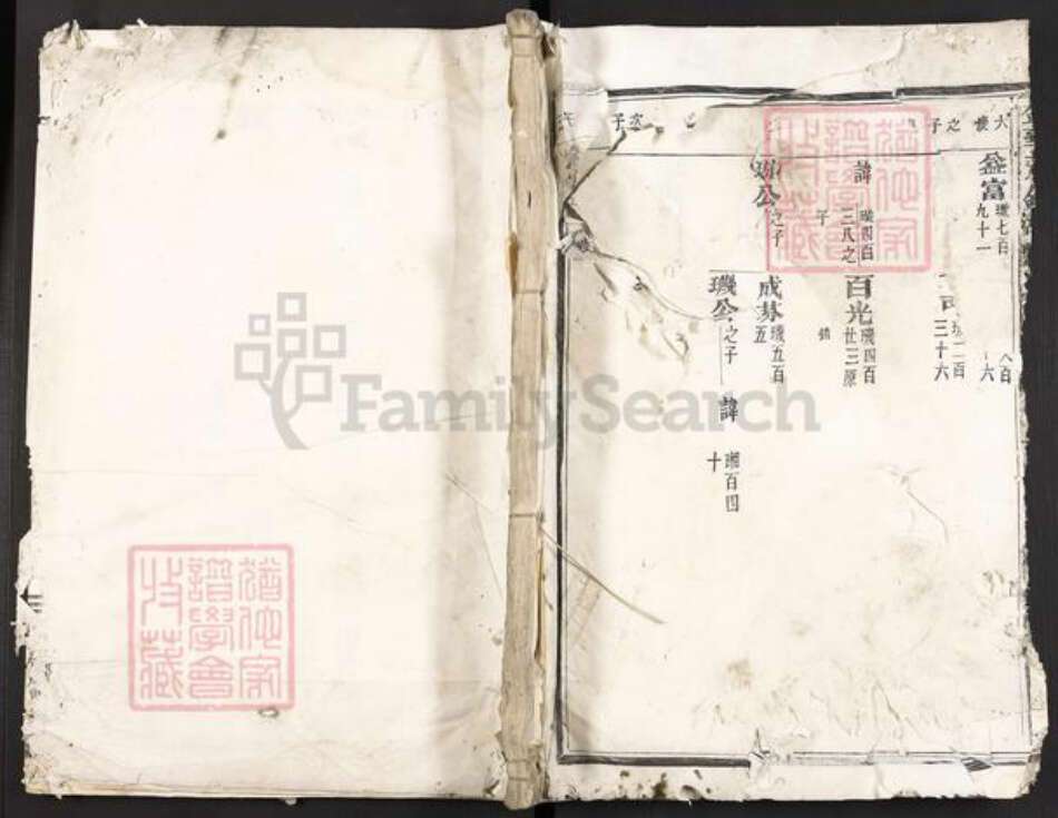 浙江省金华市叶氏族谱-金华天钟湖叶氏宗谱.pdf电子版缩略图