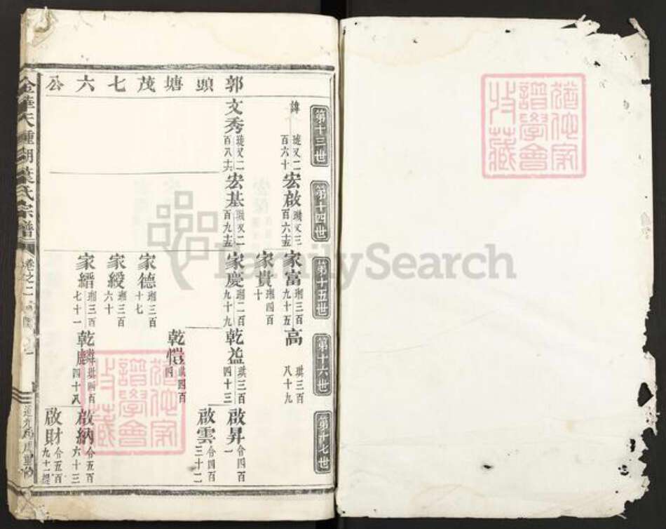 浙江省金华市叶氏族谱-金华天钟湖叶氏宗谱.pdf电子版预览图1