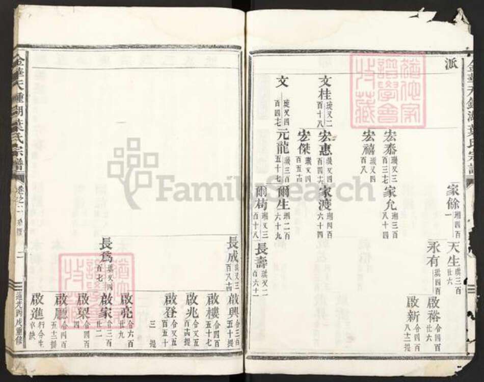 浙江省金华市叶氏族谱-金华天钟湖叶氏宗谱.pdf电子版预览图2