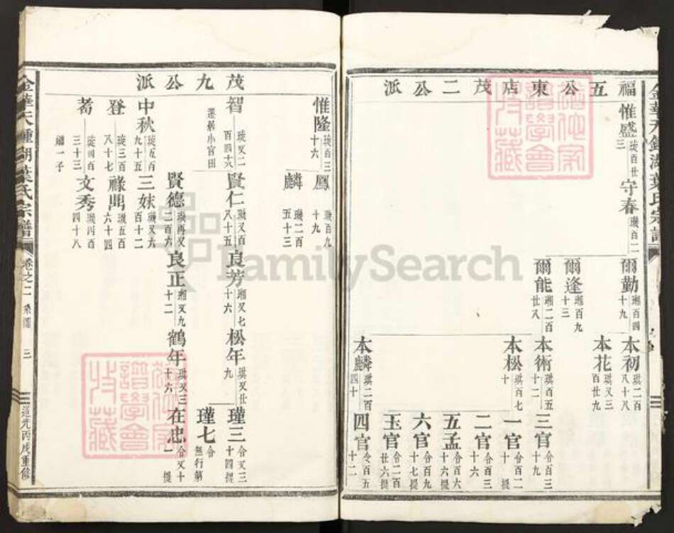 浙江省金华市叶氏族谱-金华天钟湖叶氏宗谱.pdf电子版预览图3