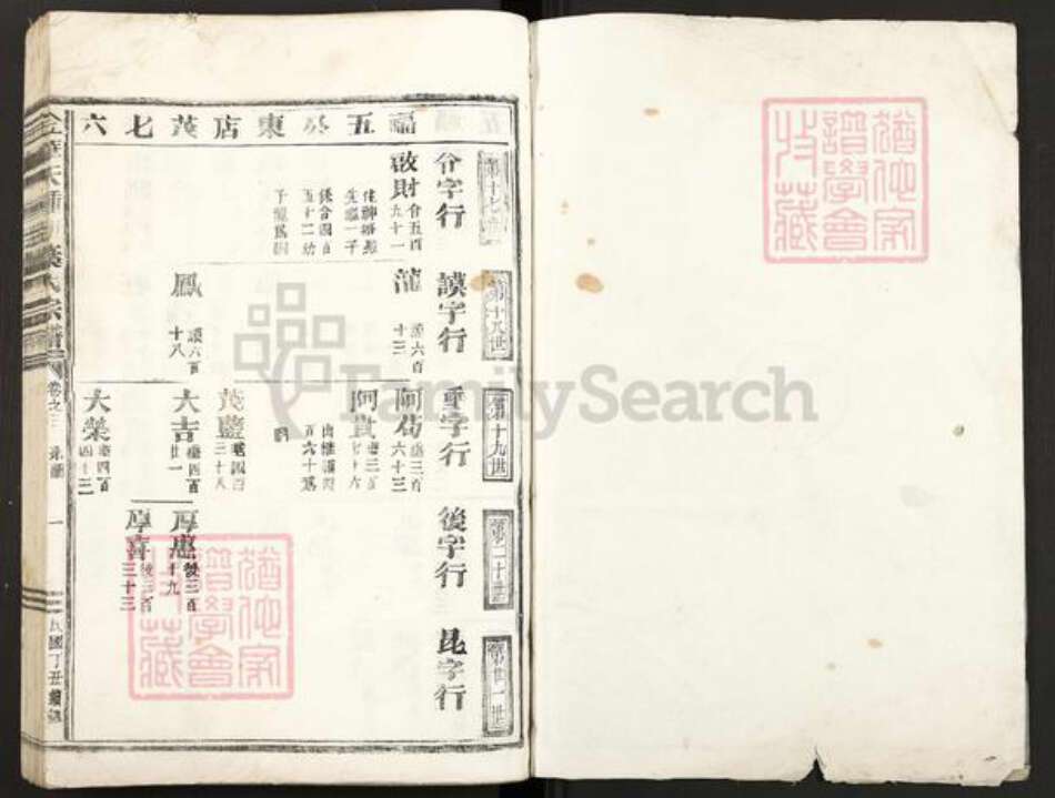 浙江省金华市叶氏族谱-金华天钟湖叶氏宗谱.pdf电子版预览图1