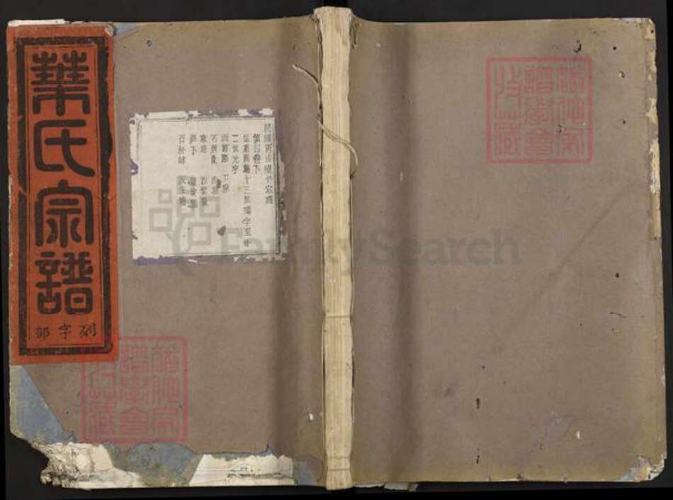 浙江省金华市叶氏绥思堂族谱-山口石林叶氏宗谱.pdf电子版缩略图