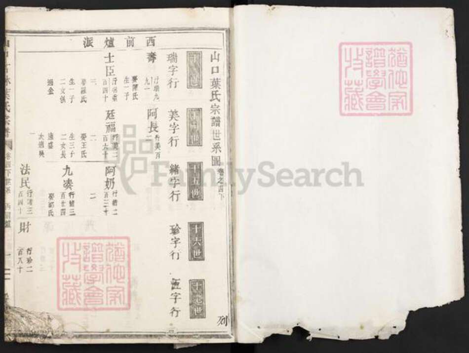 浙江省金华市叶氏绥思堂族谱-山口石林叶氏宗谱.pdf电子版预览图1