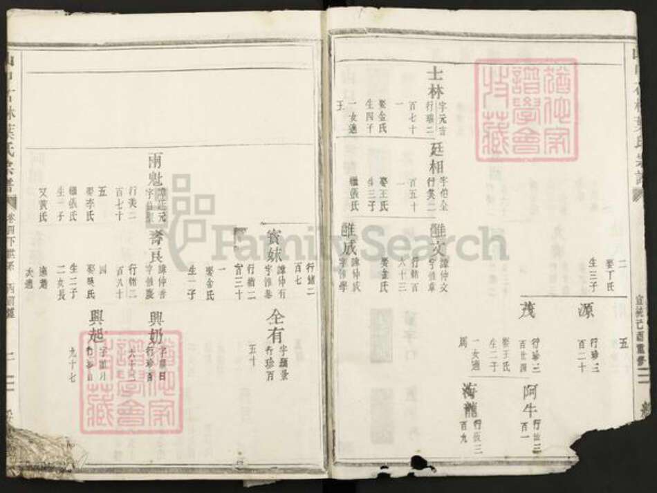 浙江省金华市叶氏绥思堂族谱-山口石林叶氏宗谱.pdf电子版预览图2