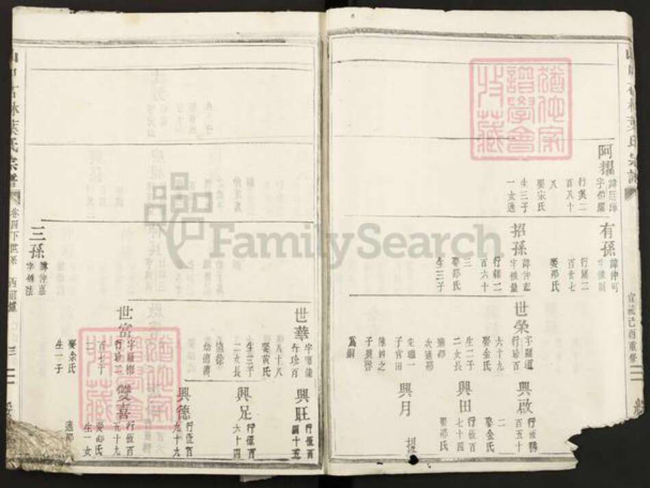 浙江省金华市叶氏绥思堂族谱-山口石林叶氏宗谱.pdf电子版预览图3