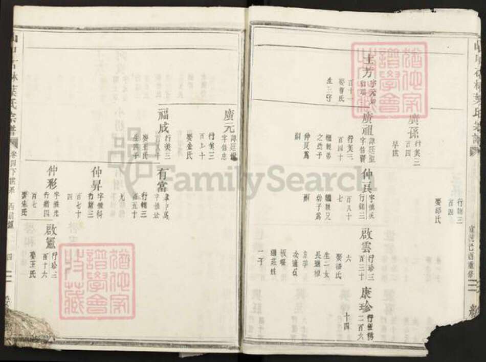 浙江省金华市叶氏绥思堂族谱-山口石林叶氏宗谱.pdf电子版预览图4