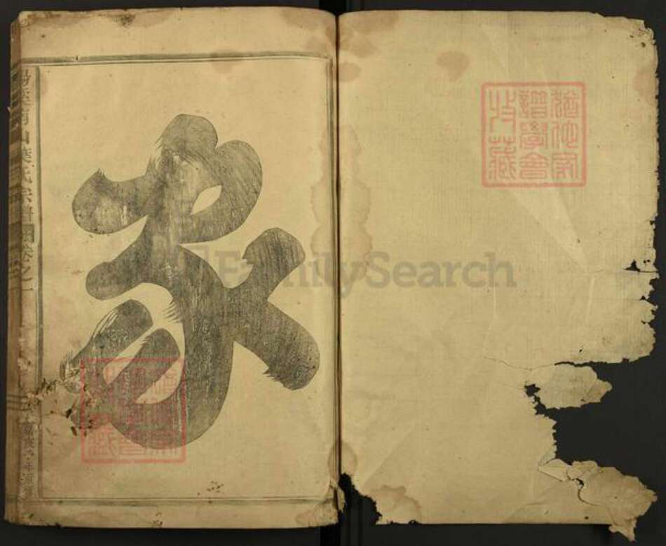 浙江省金华市婺城区叶氏族谱-汤溪南山叶氏宗谱.pdf电子版预览图1