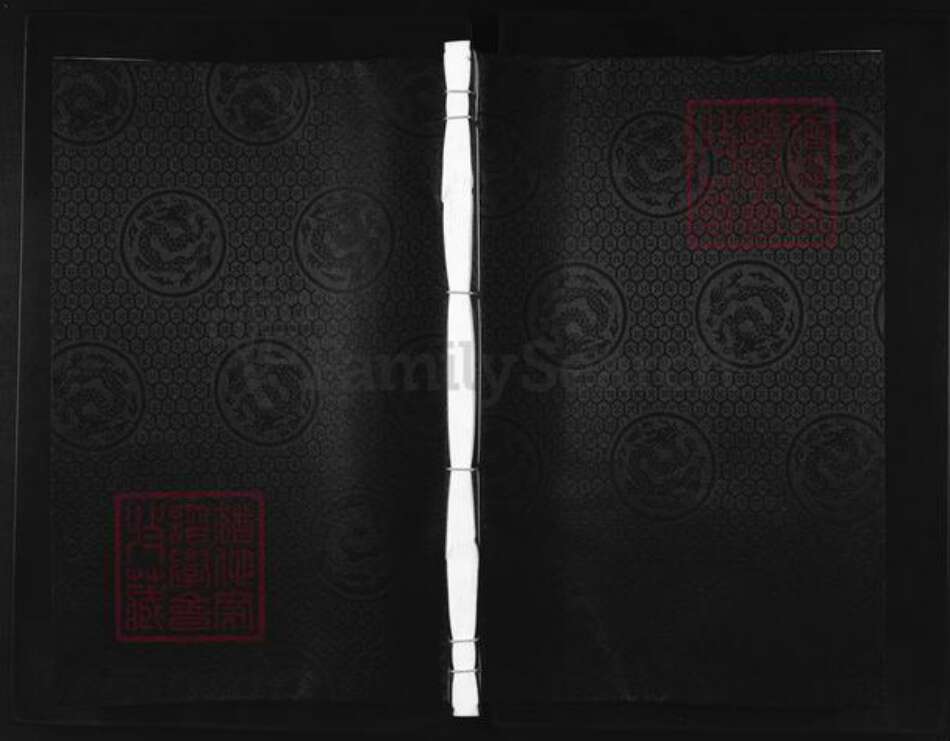 浙江省金华市兰溪市叶氏余庆堂族谱-南阳叶氏宗谱.pdf电子版缩略图