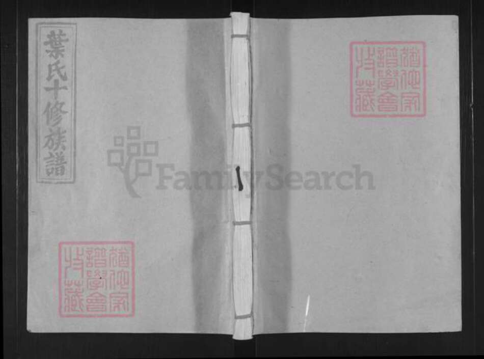 江西省赣州市叶氏南阳堂族谱-叶氏十修族谱.pdf电子版缩略图