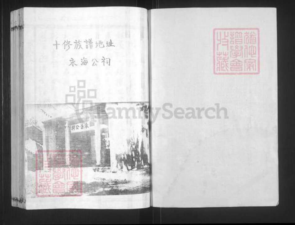 江西省赣州市叶氏南阳堂族谱-叶氏十修族谱.pdf电子版预览图1