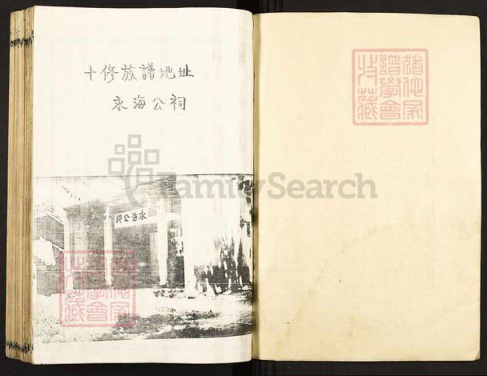 江西省赣州市叶氏南阳堂族谱-叶氏十修族谱.pdf电子版预览图1