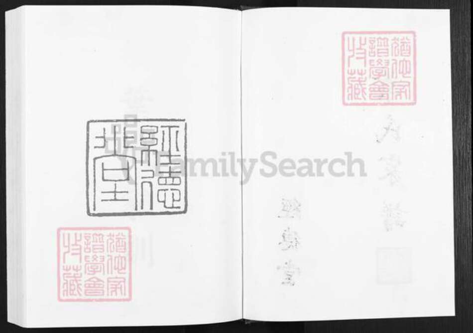 安徽省滁州市天长市铜城镇叶氏经德堂族谱-叶氏家谱.pdf电子版预览图2