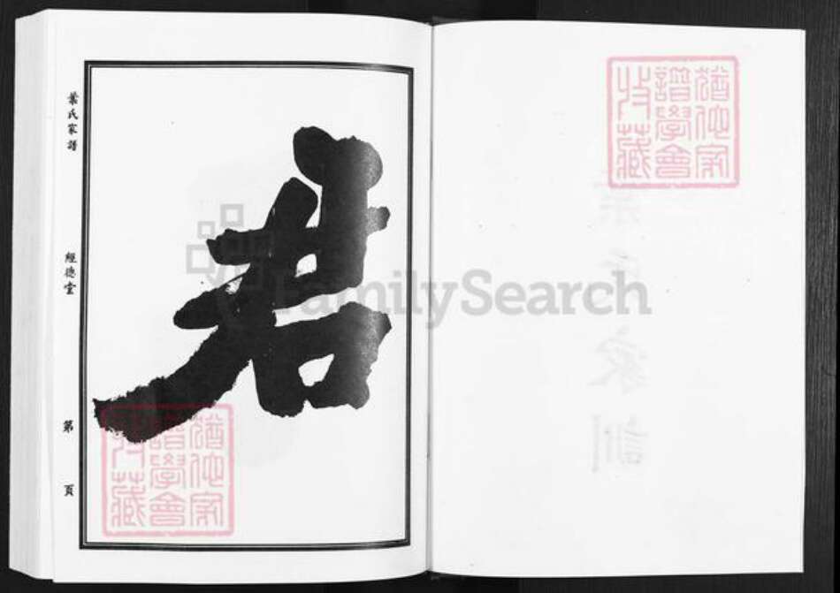 安徽省滁州市天长市铜城镇叶氏经德堂族谱-叶氏家谱.pdf电子版预览图4