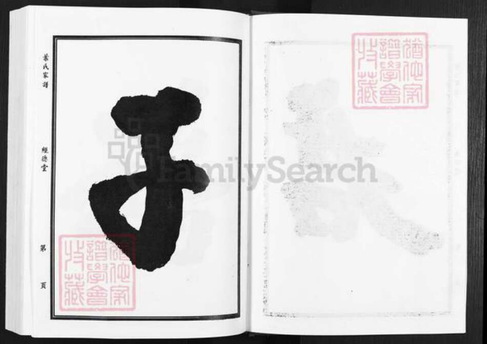 安徽省滁州市天长市铜城镇叶氏经德堂族谱-叶氏家谱.pdf电子版预览图5