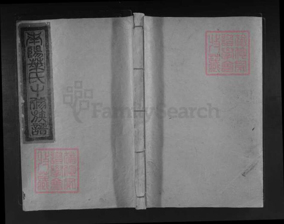 江西省赣州市宁都县叶氏族谱-寕都南阳叶氏十修族谱.pdf电子版缩略图