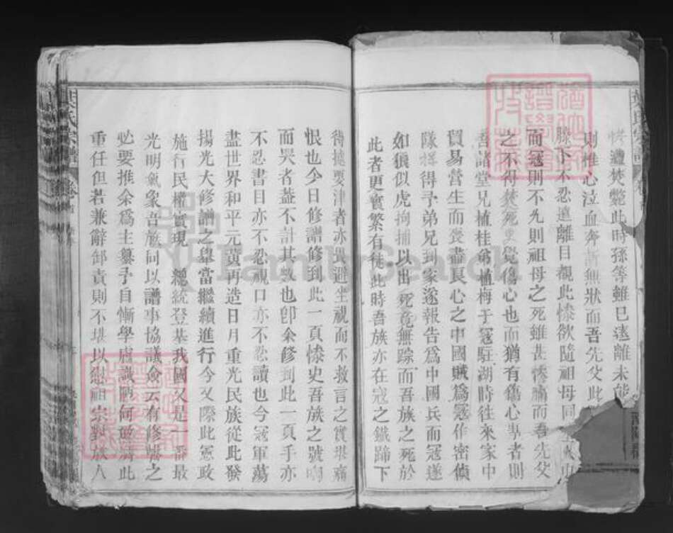 江西省九江市湖口县双钟镇叶氏三闾堂族谱-叶氏宗谱.pdf电子版预览图2