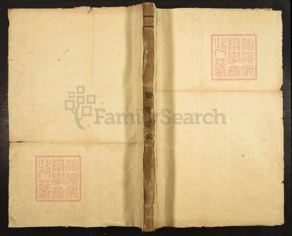 浙江省丽水市叶氏族谱-七星树下叶氏都督公裔谱牒.pdf电子版缩略图