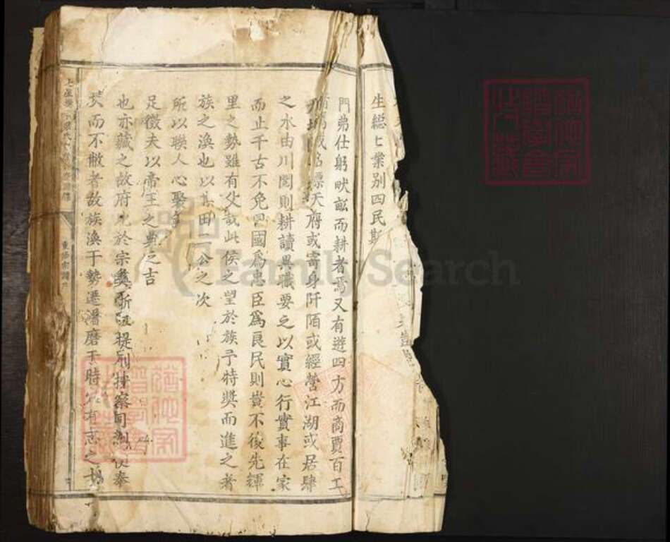 浙江省丽水市叶氏族谱-七星树下叶氏都督公裔谱牒.pdf电子版预览图2