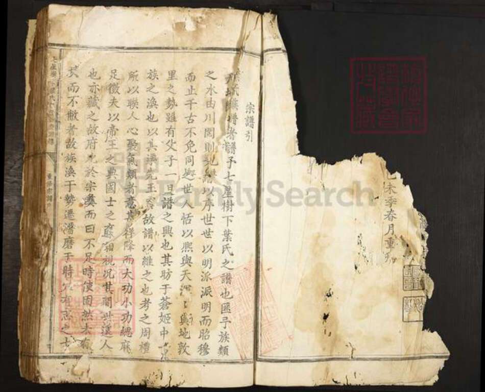 浙江省丽水市叶氏族谱-七星树下叶氏都督公裔谱牒.pdf电子版预览图3