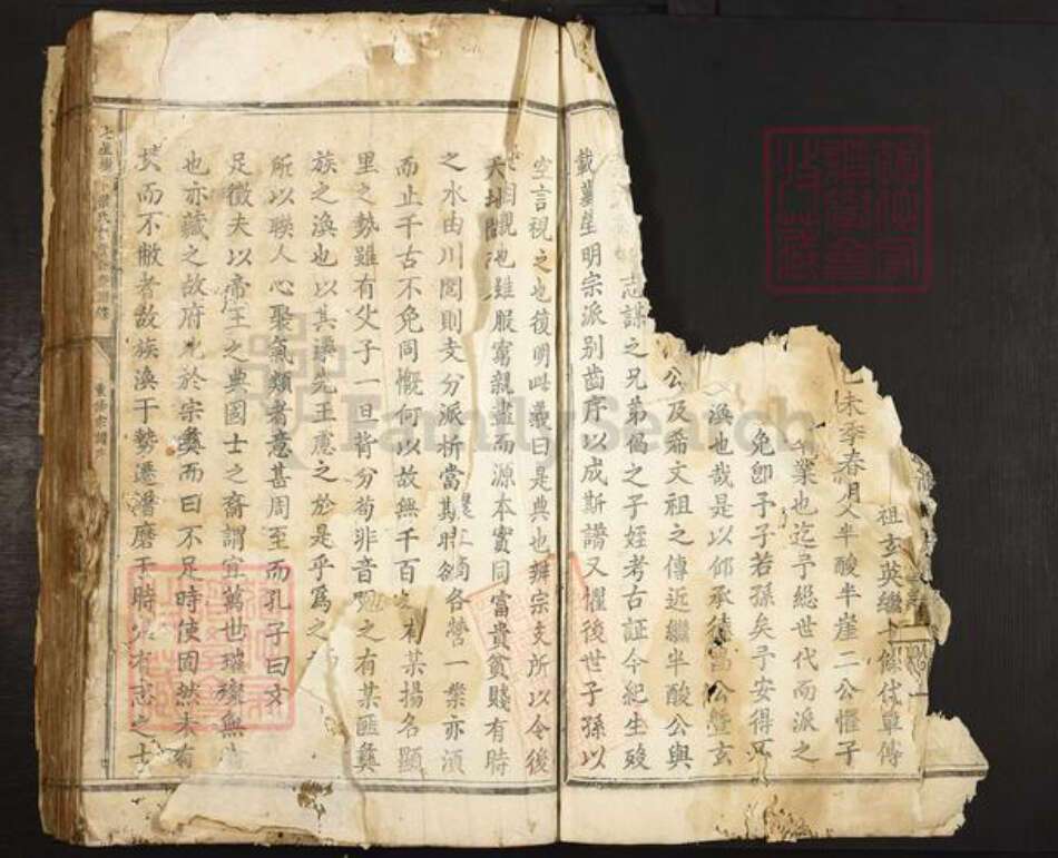 浙江省丽水市叶氏族谱-七星树下叶氏都督公裔谱牒.pdf电子版预览图4