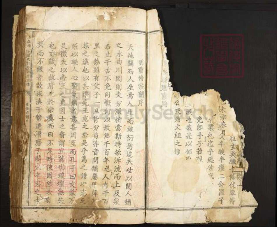 浙江省丽水市叶氏族谱-七星树下叶氏都督公裔谱牒.pdf电子版预览图5