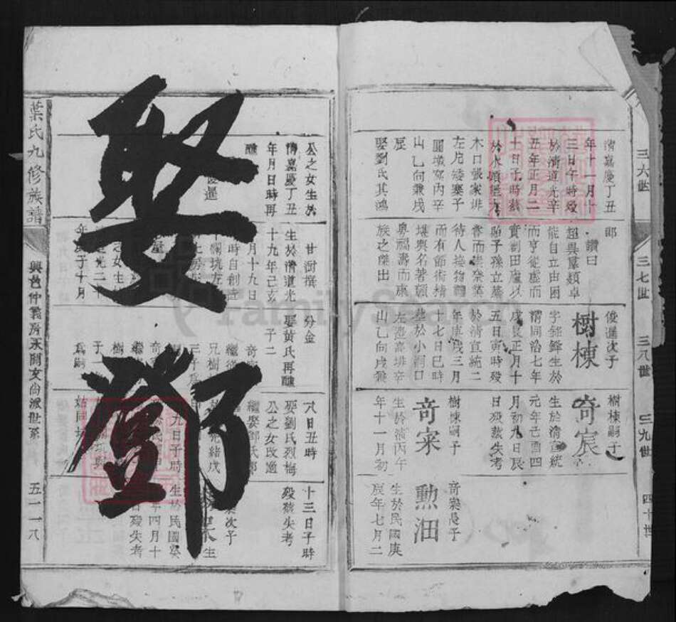 江西省赣州市于都县罗坳镇叶氏族谱-叶氏九修族谱.pdf电子版预览图2