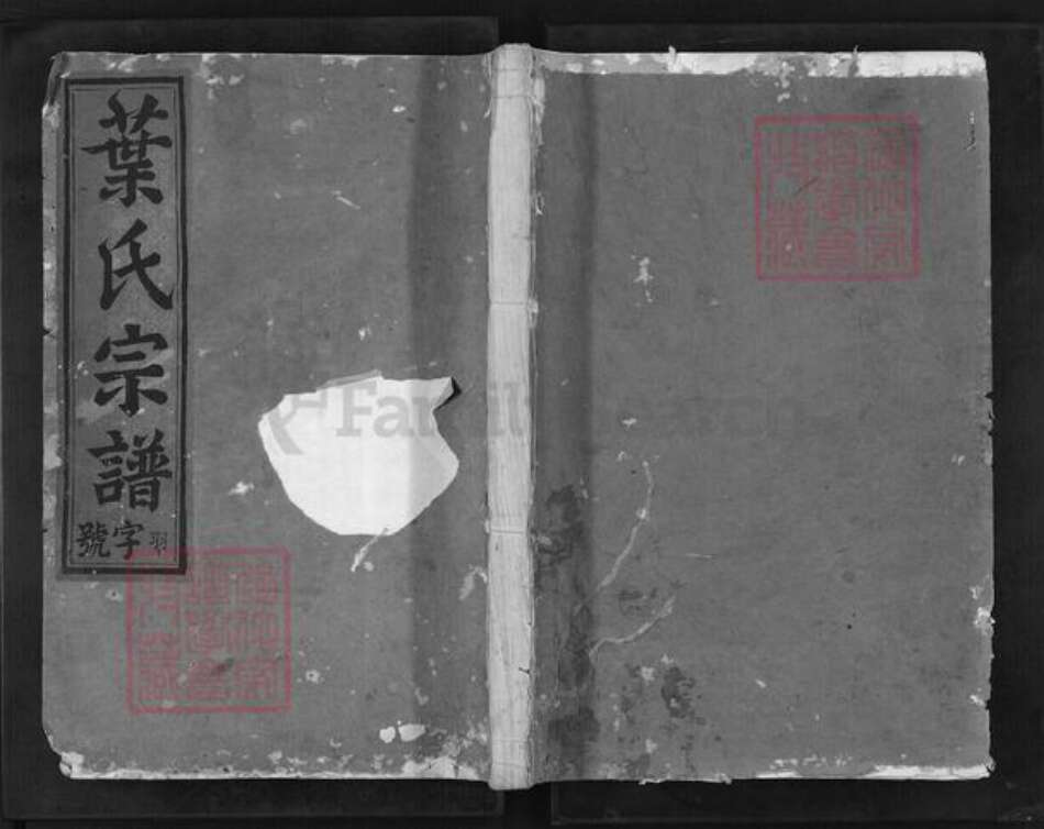 浙江省金华市兰溪市叶氏如在堂族谱-南阳叶氏宗谱.pdf电子版缩略图