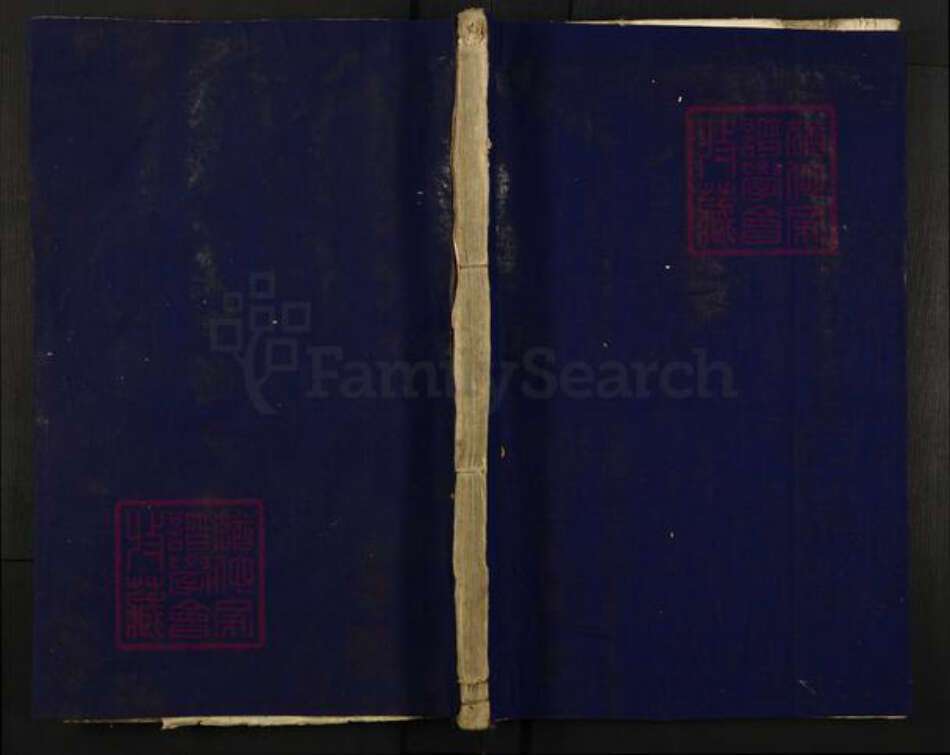 浙江省杭州市富阳新登镇镇叶氏仁孝堂族谱-清溪南阳叶氏宗谱.pdf电子版缩略图