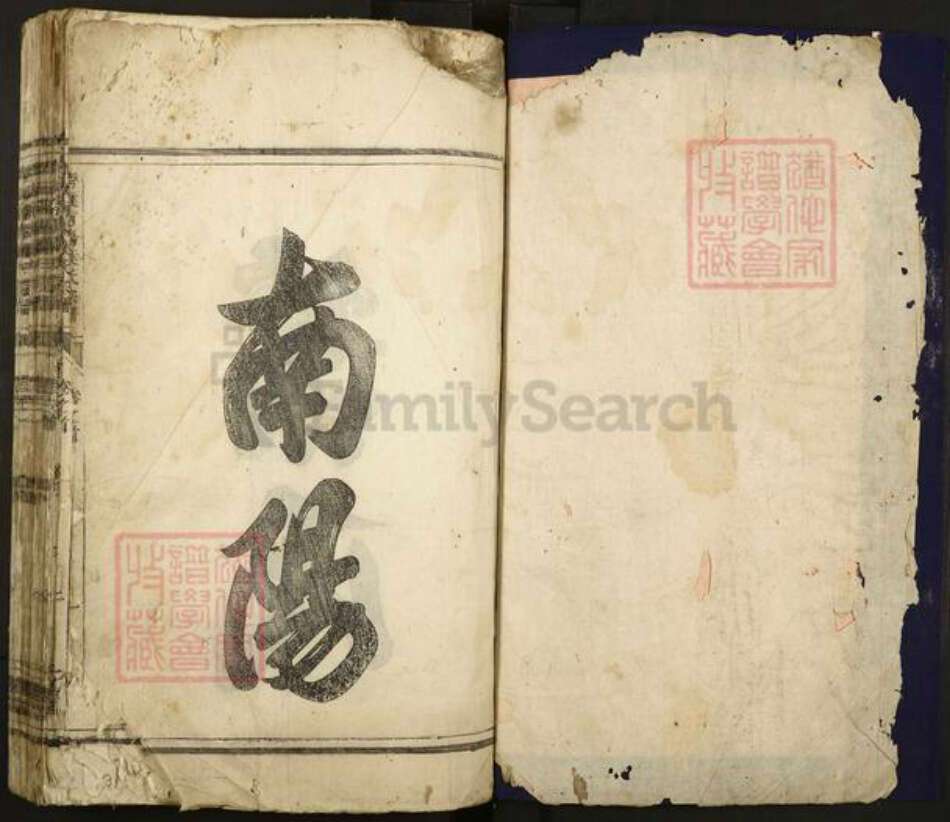 浙江省杭州市富阳新登镇镇叶氏仁孝堂族谱-清溪南阳叶氏宗谱.pdf电子版预览图1