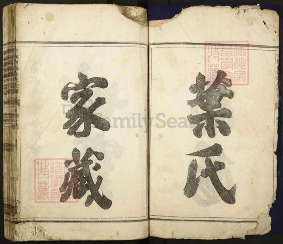 浙江省杭州市富阳新登镇镇叶氏仁孝堂族谱-清溪南阳叶氏宗谱.pdf电子版预览图2