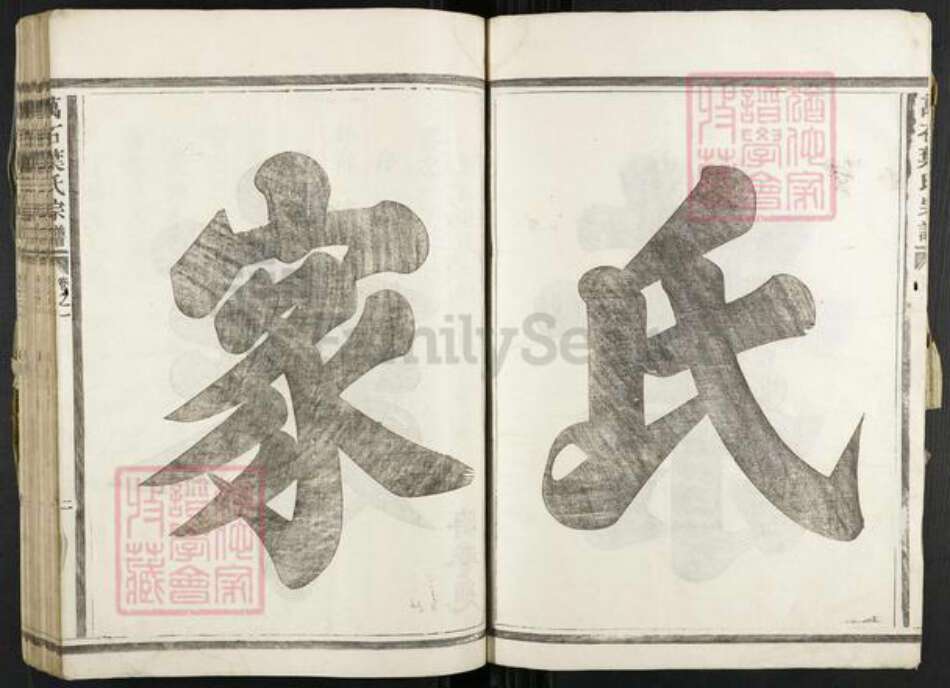 浙江省衢州龙游县詹家镇叶氏族谱-万石叶氏宗谱.pdf电子版预览图2