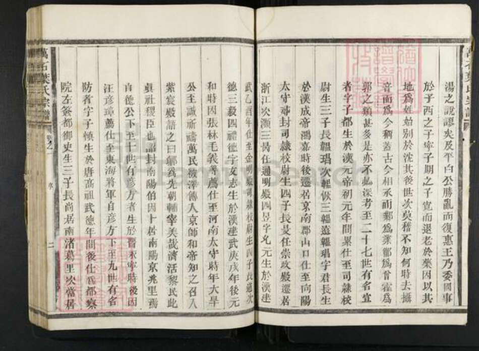 浙江省衢州龙游县詹家镇叶氏族谱-万石叶氏宗谱.pdf电子版预览图5