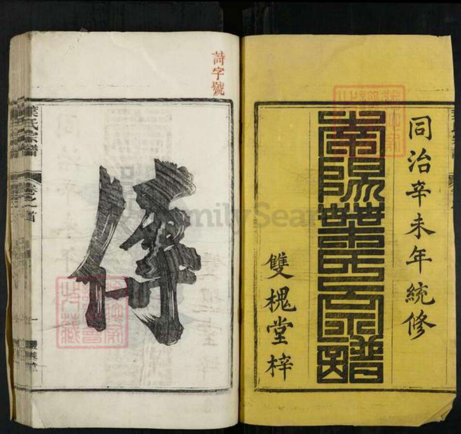 浙江省衢州开化县叶氏双槐堂族谱-叶氏宗谱.pdf电子版预览图1