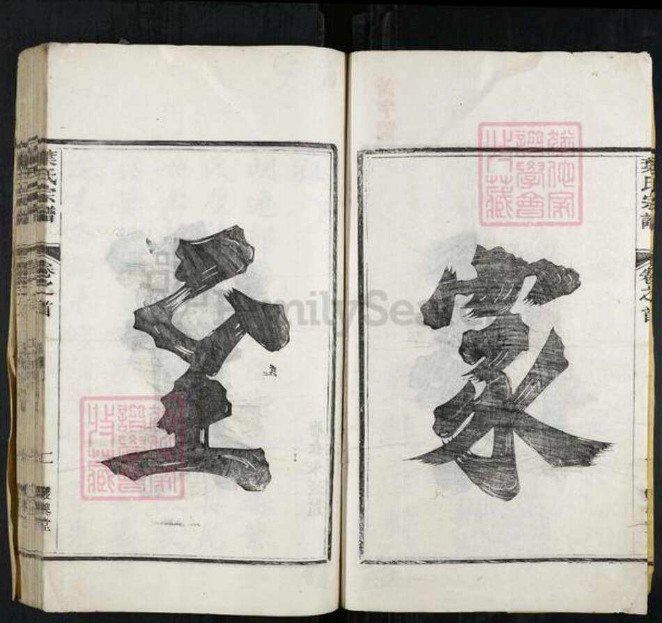 浙江省衢州开化县叶氏双槐堂族谱-叶氏宗谱.pdf电子版预览图2