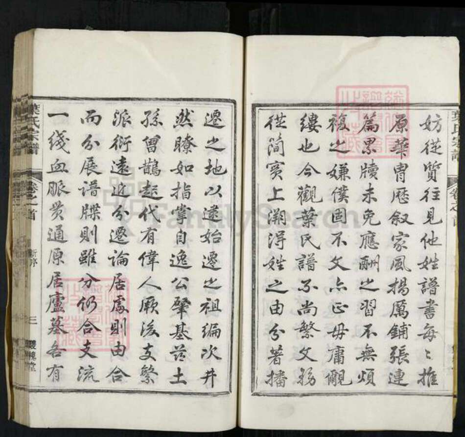 浙江省衢州开化县叶氏双槐堂族谱-叶氏宗谱.pdf电子版预览图5