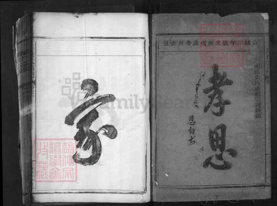 浙江省丽水市松阳县叶村乡叶氏族谱-叶氏宗谱.pdf电子版预览图1