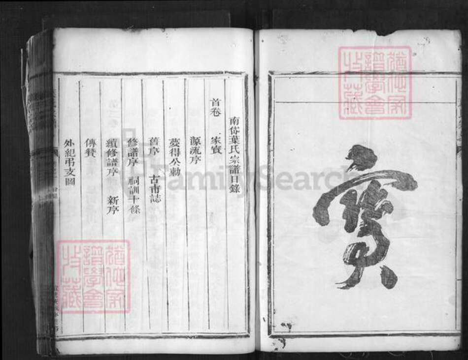 浙江省丽水市松阳县叶村乡叶氏族谱-叶氏宗谱.pdf电子版预览图2