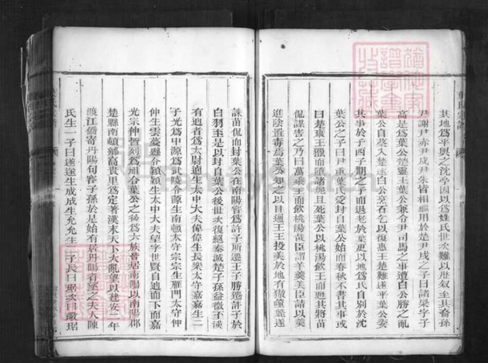 浙江省丽水市松阳县叶村乡叶氏族谱-叶氏宗谱.pdf电子版预览图4