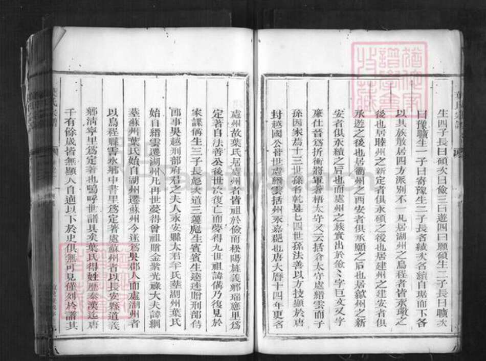 浙江省丽水市松阳县叶村乡叶氏族谱-叶氏宗谱.pdf电子版预览图5